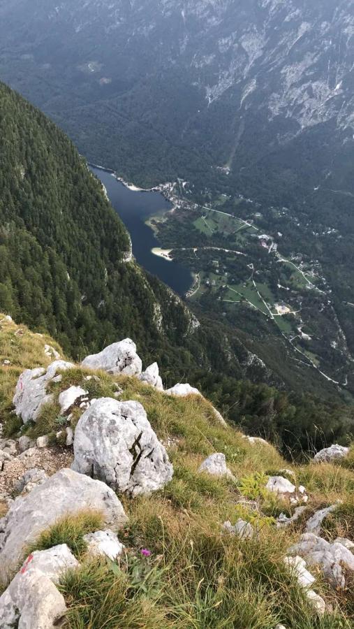 Apartments Maja By The River Bohinj Bagian luar foto